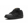 SB Dunk "Triple Black"