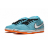 SB Dunk Low Pro "Gulf"