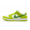 حذاء SB Dunk Low Pro "Green Apple"